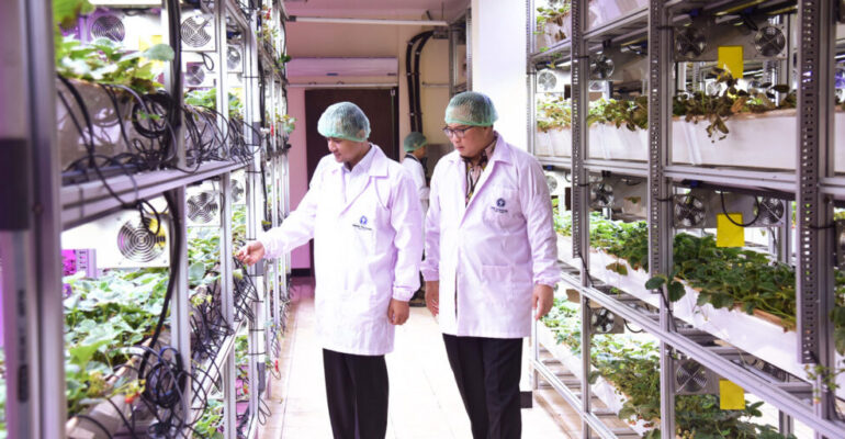 Developing Transmigration Areas, Mentrans Partners with IPB University
