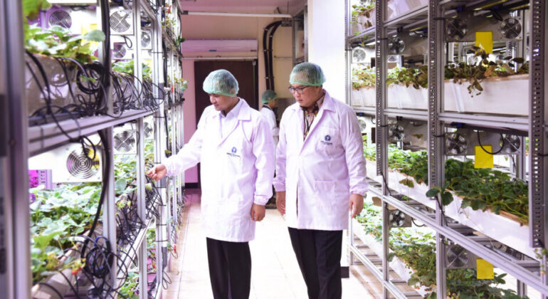 Developing Transmigration Areas, Mentrans Partners with IPB University