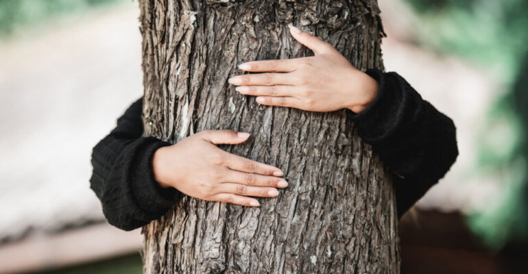 IPB University Doctor: Hugging Trees in Forest Bathing Can Relieve Stress
