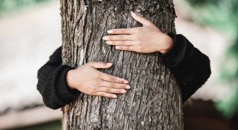 IPB University Doctor: Hugging Trees in Forest Bathing Can Relieve Stress