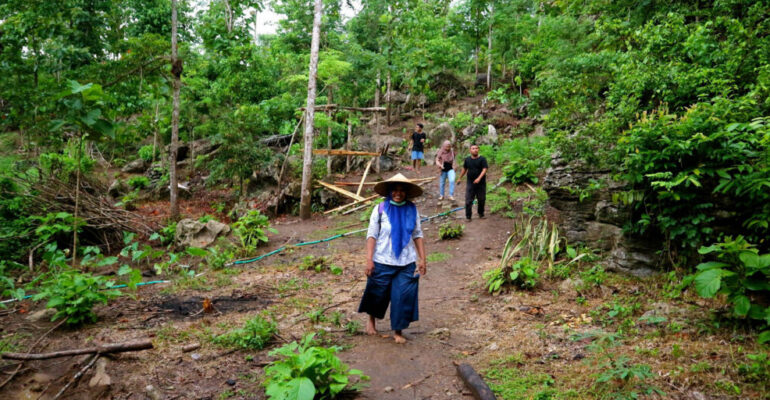 Prof Ahmad Budiaman: The Key to Sustainable Community Forests Lies in Appropriate Harvesting