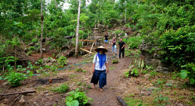 Prof Ahmad Budiaman: The Key to Sustainable Community Forests Lies in Appropriate Harvesting