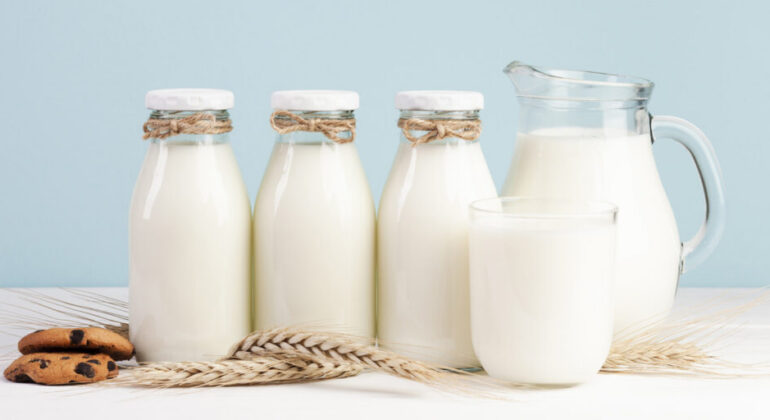 Prof Idat Galih Permana: Local Feed Protein Engineering as a Strategy to Increase National Milk Production