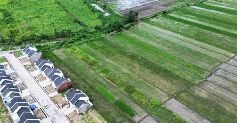 On National Farmers’ Day, Dean of IPB University’s Faculty of Agriculture: Conversion of Rice Fields is Alarming