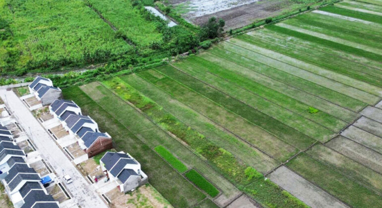 On National Farmers’ Day, Dean of IPB University’s Faculty of Agriculture: Conversion of Rice Fields is Alarming