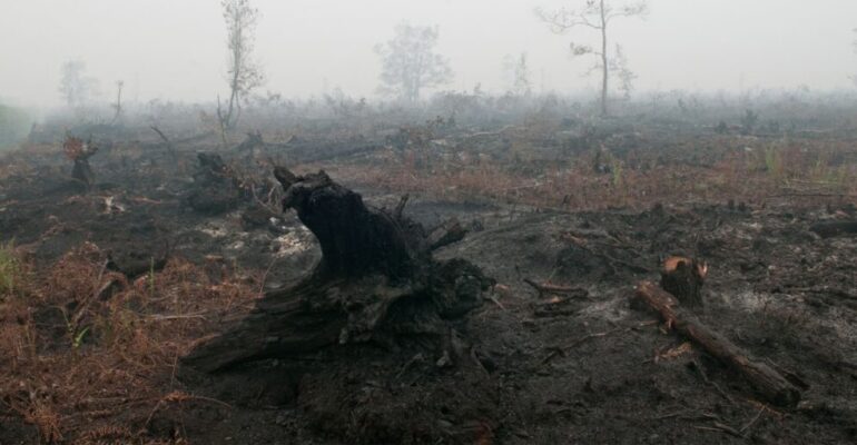 Peatland Fire Mitigation, Prof Muh Taufik Develops Ecohydrology Approach