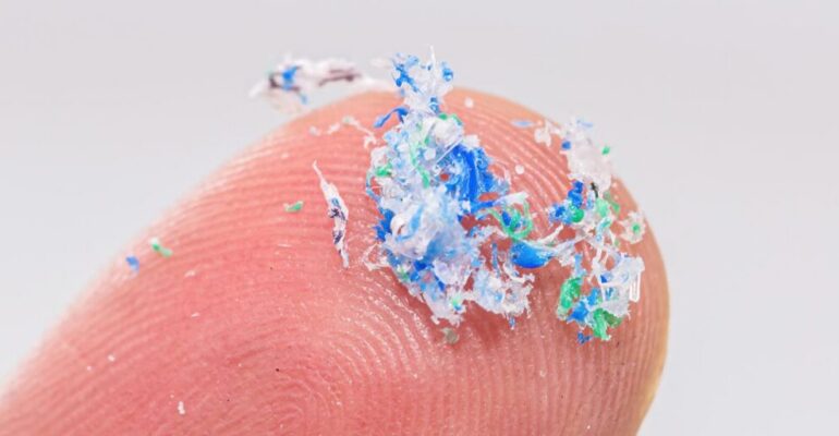 Microplastics Threaten Pregnant Women, IPB University Medical Lecturer Reveals Three Entry Pathways