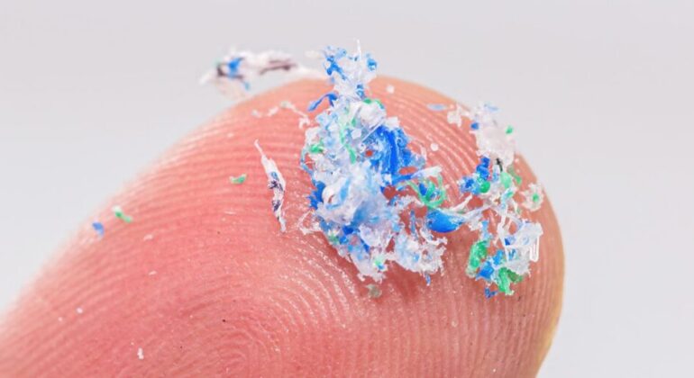 Microplastics Threaten Pregnant Women, IPB University Medical Lecturer Reveals Three Entry Pathways