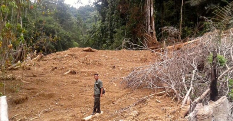 Chair of IPB University Disaster Study Center Reveals Illegal Activities Behind Sumatra Disasters